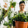 Grace Salaysay behind a houseplant in a large brown pot