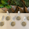 Click N Grow Images of labelled cups for Click N Grow Smart Garden with fresh herbs on white counter
