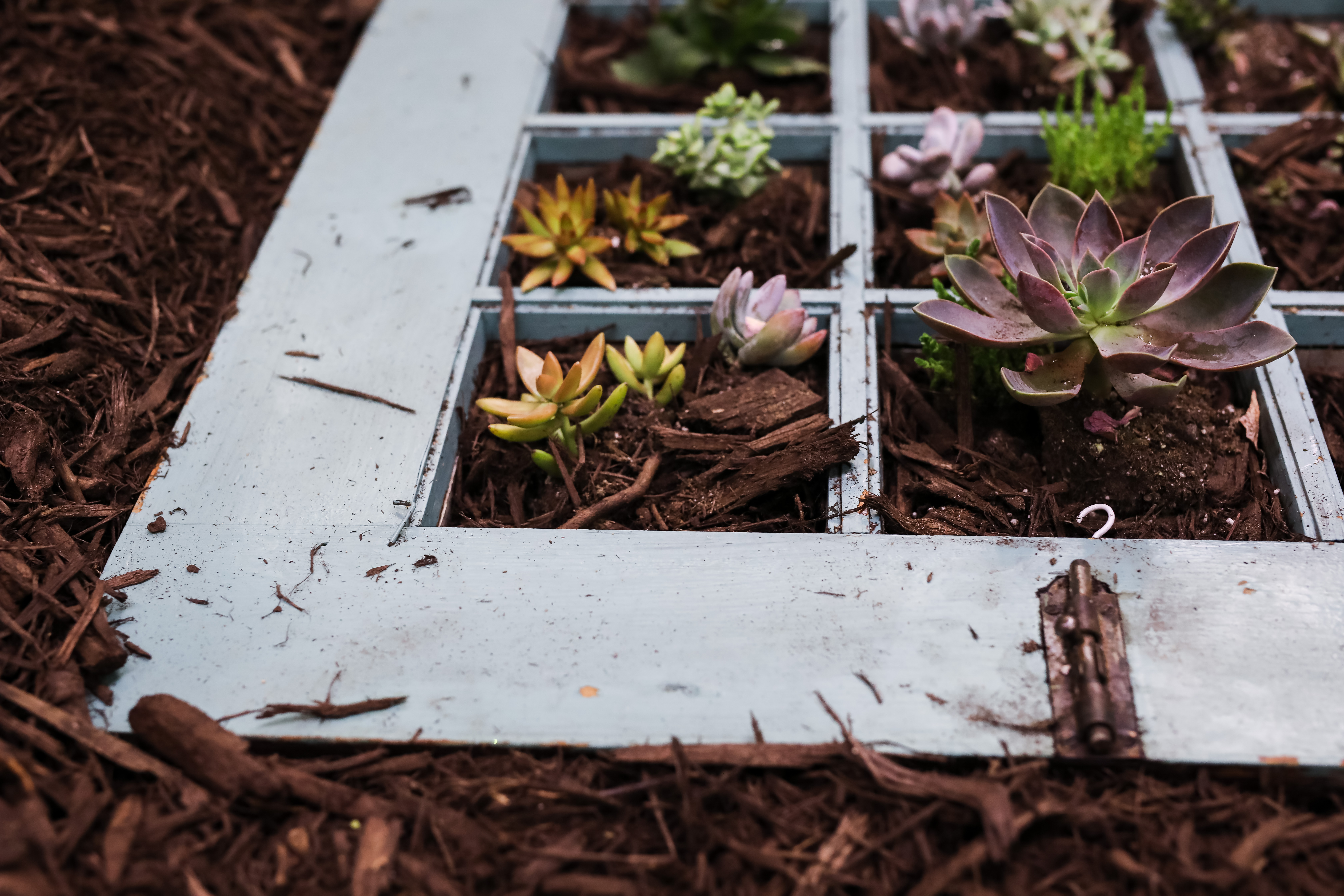 Five Tips for Gardening Five Tips for Getting your garden ready for spring
