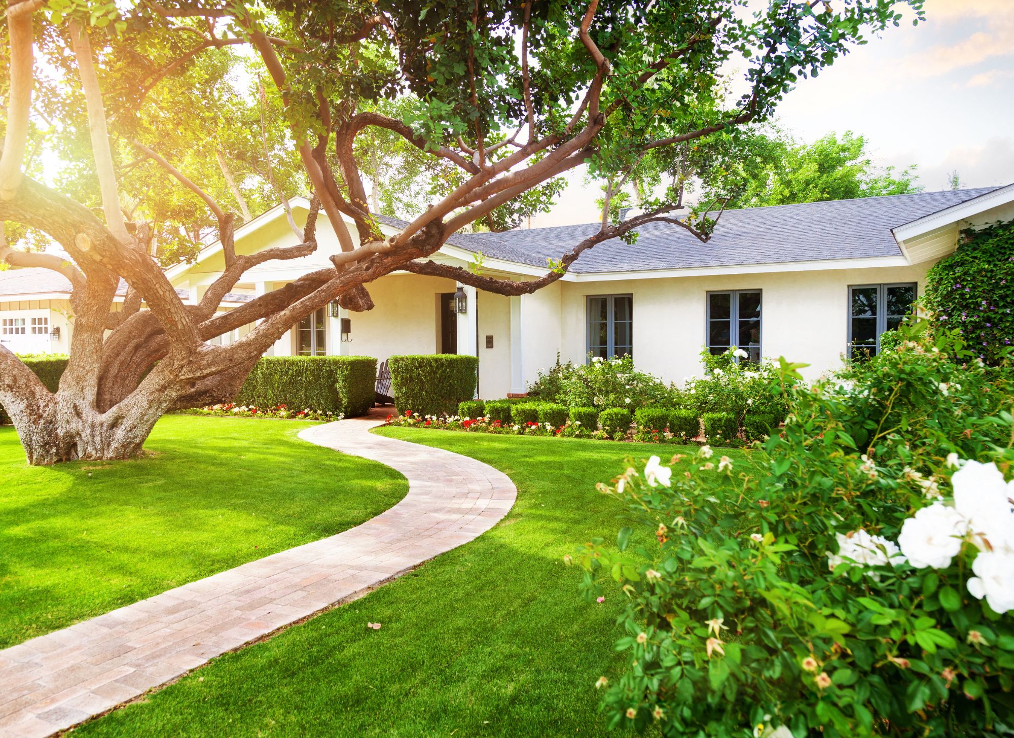 Spring Home