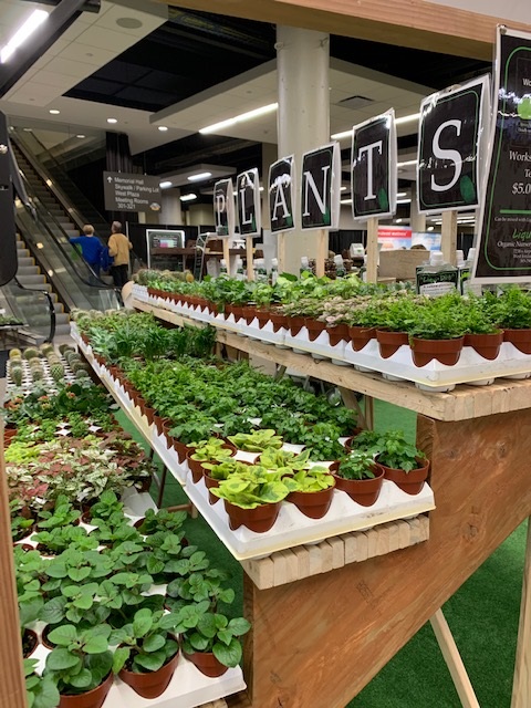 Trends.Plant Plants and other trends for the 2021 Show