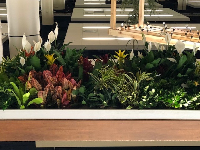 UpsidePlantTrellis