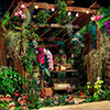 Award-winning garden Award-winning garden
