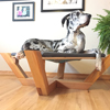 Barkitecture Thumbnail Barkitecture Thumbnail