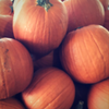 Halloween Halloween