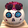 Sugar Skull Pumpkin Sugar Skull Pumpkin