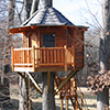 Treehouse Treehouse