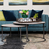 Living Room Living room furniture and rug