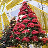 LumazeRibbonTree_100x100 Lumaze Tree Decor