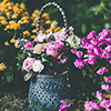 basket of flowers thumbnail