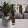 Designer Rooms
