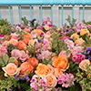 floral thumbnail