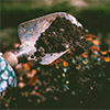 Gardening2 Gardening