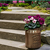 Hardscape-Thumbnail Hardscape-Thumbnail