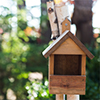 outdoor thumbnail birdhouse in tree