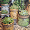 Planters-thumbnail Planters-thumbnail