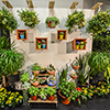 Plants Plants