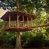 Treehouse-Thumbnail Treehouse-Thumbnail