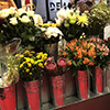 valentinesflowers-thumbnail valentinesflowers-thumbnail