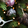 XmasTree Christmas