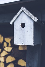 aviary-bird-house-birdhouse-5910 aviary-bird-house-birdhouse-5910