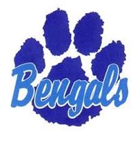 Blain HS logo Blain HS logo