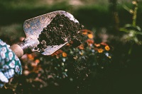 Canva - Person Digging on Soil Using Garden Shovel Hand Shovel with Dirt