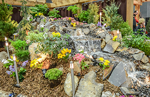 landscape garden landscape garden