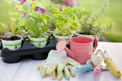 garden tools