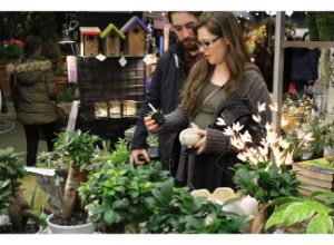 Show Features Of The Tacoma Home Garden Show