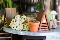 butterfly decor butterfly decor