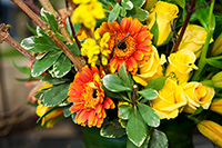Yellow and orange flower arrangement Yellow and orange flower arrangement