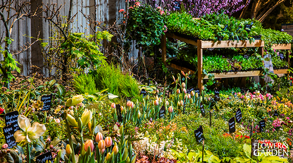 Blooming Abundance Blooming Abundance