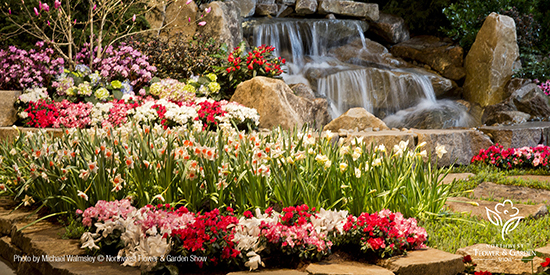 Romance Blossoms Romance Blossoms