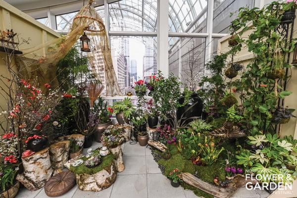 Alice's Woodland