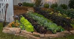 0210_Home&Patio_Jax13 0210_Home&Patio_Jax13