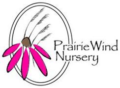 prairie_wind_pink prairie_wind_pink
