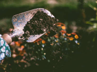 Gardening-Blog Gardening