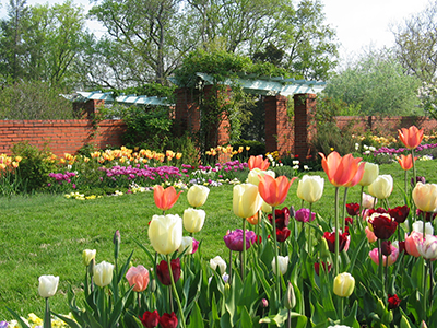 Spring border-MY - SMALL Spring border-MY