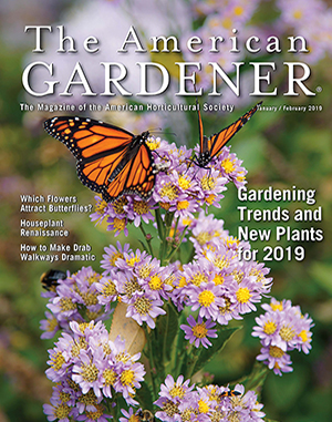 TAG J_F 19 cover 300 by 381 TAG J_F 19 cover
