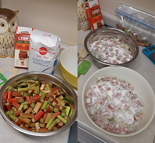 Rhubarb Jam ingredients ready to go and mixed with sugar in the first steps.