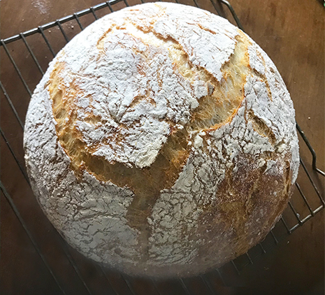 A rustic loaf of no-knead bread