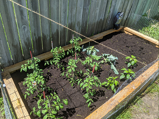 Vegetable Garden plot