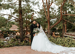 Wedding Photo