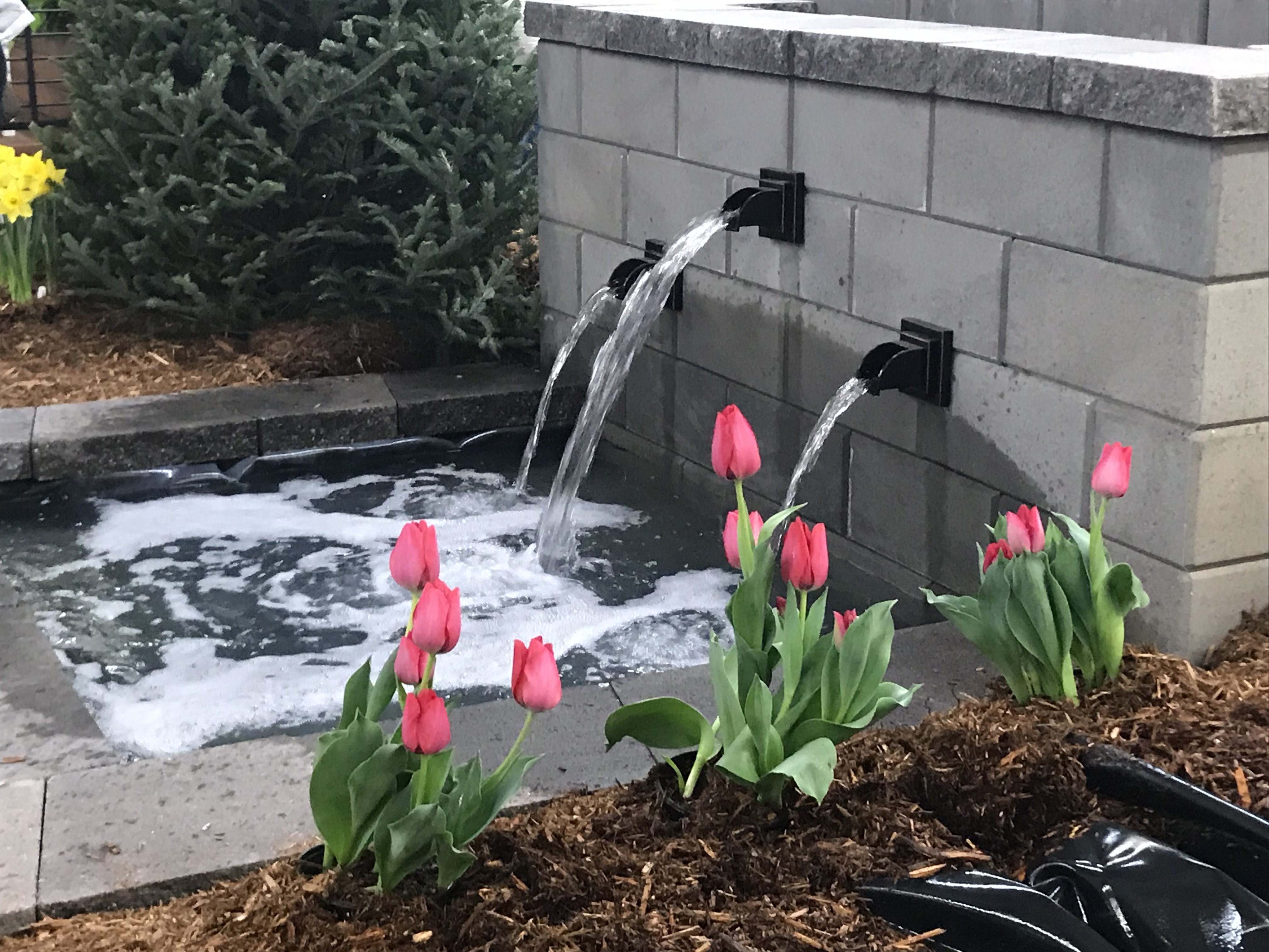 Feature Gardens at The Houston Home + Garden Show