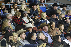 Crowd at the show