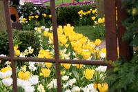 featuregardenphoto featuregardenphoto