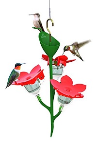 feeder feeder