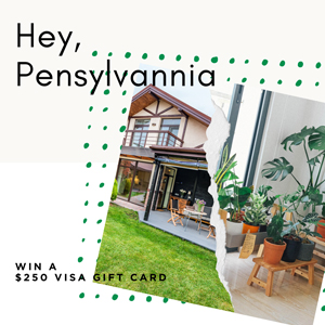 Win a Visa Gift Card