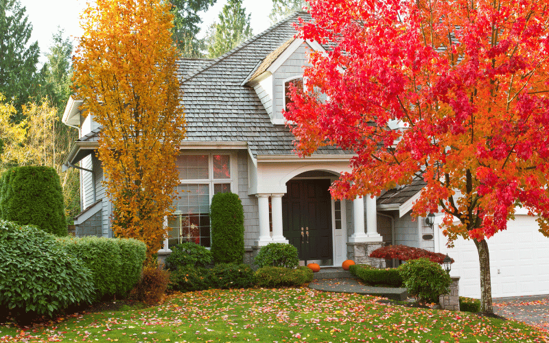 White medium sized family home with fall colored leaves and trees out front and pumpkins on front porch